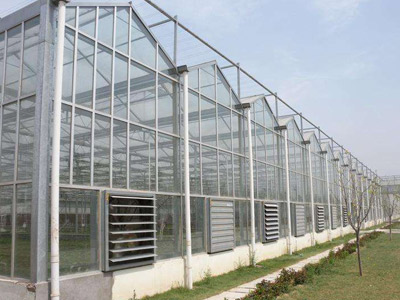 畜牧风机工程案例