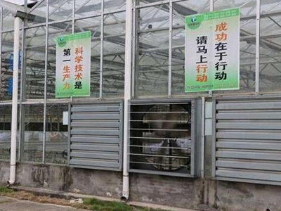 畜牧风机工程案例