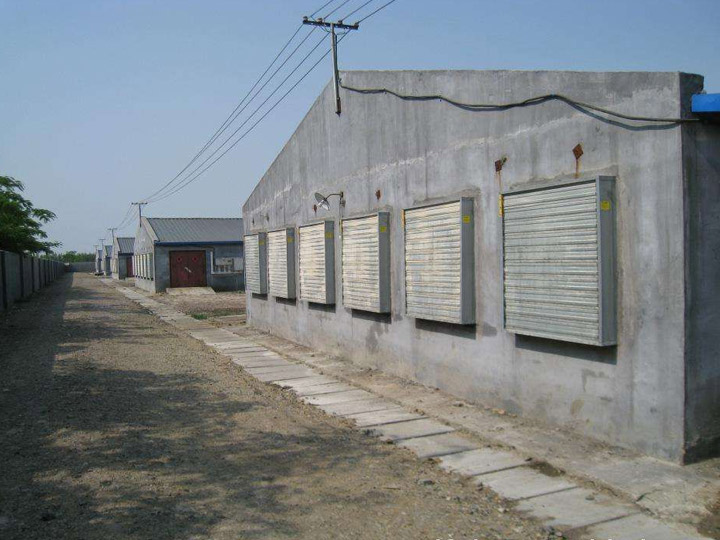 畜牧风机工程案例